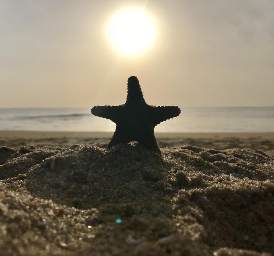 Starfish Beach Bungalows 아루감 베이 외부 사진